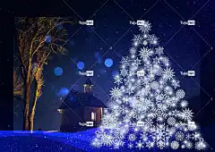 圣诞贺卡 圣诞树 气氛 来临 降临节 树装饰 信息 基督教