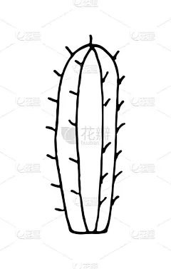 手,卡通,绘画插图,仙人掌,乱画,矢量,绘制