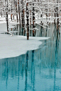 蓝塘，北海道-肯特白石为国家地理<br/>Blue Pond, Hokkaido - by Kent Shiraishi for Nat Geo