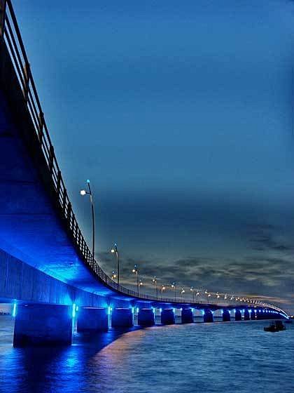 绝美的夜色中的“桥”