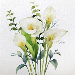 肥猫朵朵采集到Kate Kyehyun Park