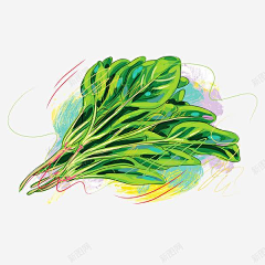 鹿如颜采集到青菜图标