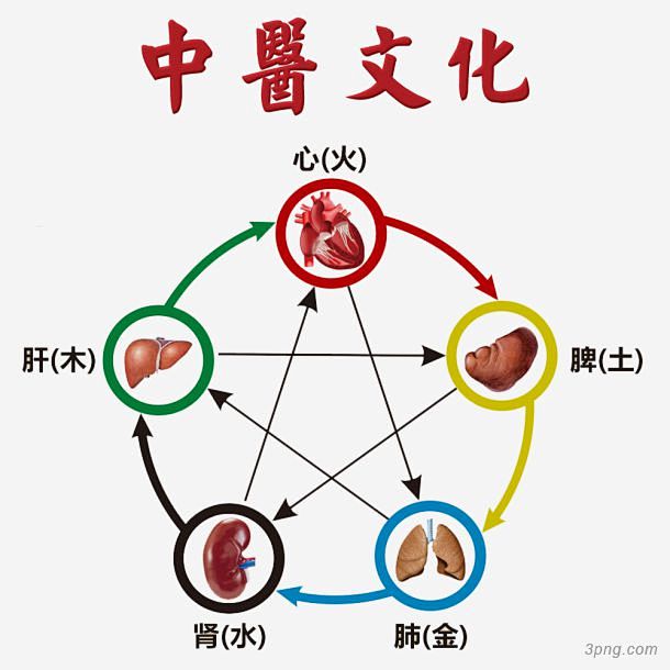 中医文化中医|中医|五行|八卦|文化|中药中医|中医挂画宣传画|中医药材文化展板|棕色中国风中医铜人|中医刮痧养生|中医养生|中医名片|老中医 ...