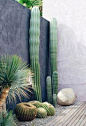Carrément design, le jardin de cactus / Via Lejardindeclaire #landscapedesigner