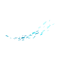 鱼，海洋，鱼群
更多收集跳转：https://huaban.com/ayu1022/