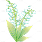 植物清新插画铃兰花朵元素素材