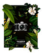 Olympus Travel : The challenge was to make a print ad for one of Olympus' travel cameras.This model can withstand dust, humidity, is quick, compact, and more robust than some of the other cameras in their range. A damp jungle theme seemed perfect to illus
