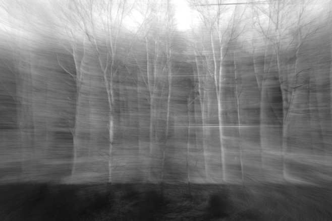Fragile 3 © Karl A. ...