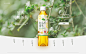 からだ巡茶品牌官网设计_DuanXiang_平面设计图片-致设计