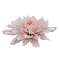 磨皮花朵PNG免抠图素材 - 彼岸桃花 - .