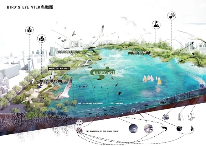 PS海绵湿地剖岸分析图生态滨水景观剖切立面轴测效果图PSD素材——淘宝网-花瓣网