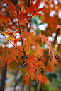 billow926-8Gbu7av6aYs-unsplash