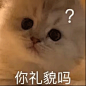 表情包
