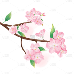用户uR88H8B2采集到ppt素材