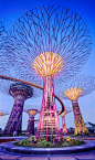 Supertrees in Singapore Gardens