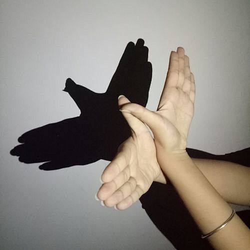 手影_百度图片搜索
