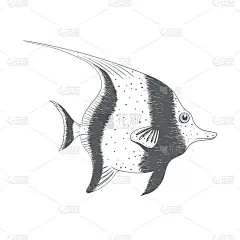 手绘奇异鱼。矢量插图。
