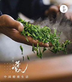 城石设计采集到餐饮-茶茶茶茶茶