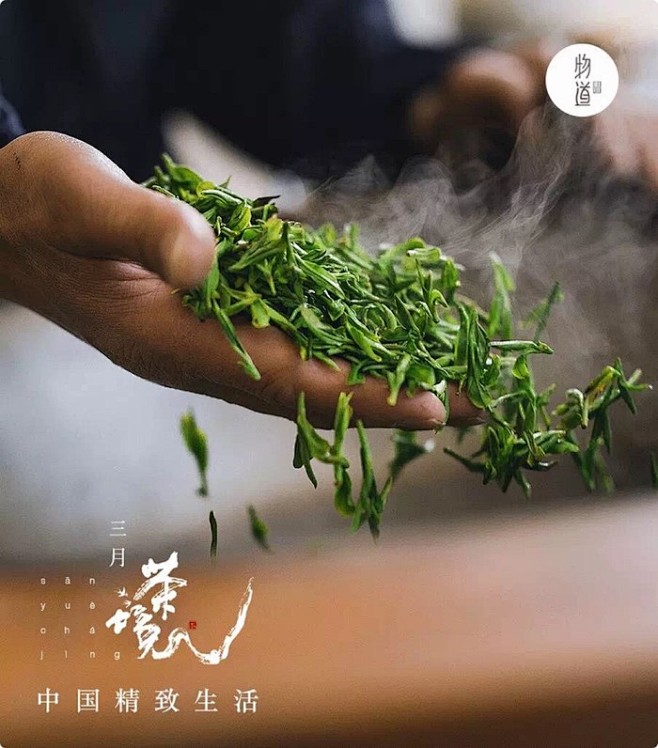茶
