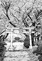 漫画中的黑白手绘场景