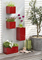 wall mounted planters: 