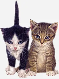 手绘猫咪 页面网页 平面电商 创意素材
