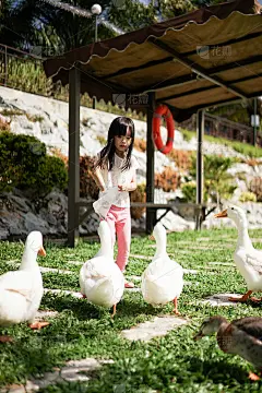 女孩喂鸭子