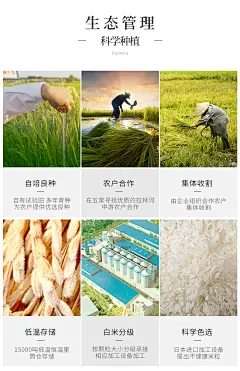 葵花阳光 五常稻花香大米5kg贡米东北大米粳米香米 新米绿色礼品-tmall.com天猫