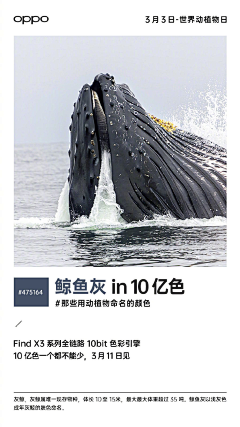 琪琪七七琪琪sue采集到手机电子产品