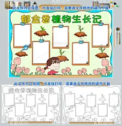 郁金香植物生长记手抄报  - 源文件下载【酷图网】我的观察日记,植物生长,郁金香,生长记录小报,郁金香成长,周期,植物秘密,郁金香画报,植物,番茄种植,种子,发芽,生长,成长,观察,观察日记,生长记录,科学实验,日记,科普,主题,知识,宣传,线描,校报,板报,电子,小报,手抄报,简报,简笔画,图片,豌豆生长小报,黑白涂色线稿