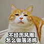 @著名网黄猫日 ​​​​