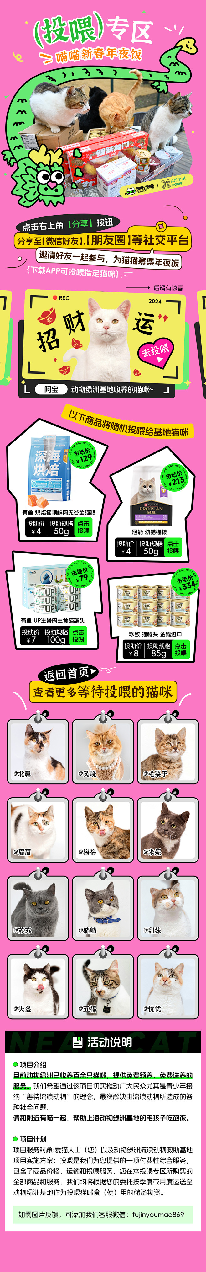 猫咪投喂专区全
