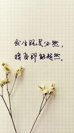 小清新  心灵鸡汤 个性 壁纸