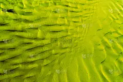 非洲,壁纸,沙漠,背景,纹理效果,黄绿色,突尼斯,自然,式样,黄金