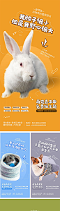简约可爱宠物店萌宠活动促销系列海报-源文件