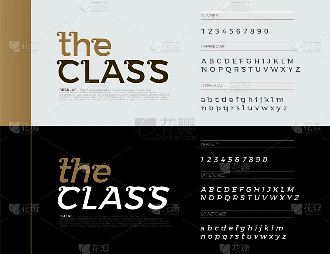 优雅的字母字体集。独家信件公司身份。排印字体经典规则，斜体和数字。矢量图素材-花瓣网