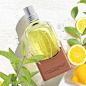 L'OCCITANE en Provence | 日本公式 (@loccitane_jp)的Instagram主页 · Tofo.me · 中文Instagram网页版