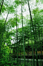 涧水无声绕竹流，竹西花草弄春柔。茅檐相对坐终日，一鸟不鸣山更幽。