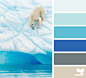 polar hues