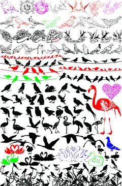 鸟矢量图素材  - 源文件下载【酷图网】麻雀,蜂鸟,喜鹊,燕子,玫瑰花,玫瑰标语,玫瑰花语言框,鸽子,鸟剪影火烈鸟,天鹅,天鹅矢量图,花鸟,梅花鸟,鹦鹉,八哥,手绘鸟,线描鸟,激光雕刻鸟,移门鸟,剪纸鸟,服装印花鸟,卡通鸟,素描鸟,速写鸟,