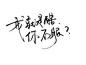 字-堆糖，美好生活研究所