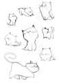 小猫咪绘制大全，喜欢喵喵的收了！ ​ （转）@简笔画教室 ​ ​​​​