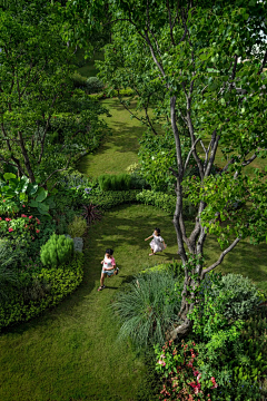Wish—Li采集到园林、公园，森林，绿地