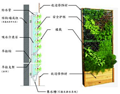 •俊風•采集到植物墙