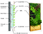 第三代植生墙（植物墙、绿墙、立体绿化）简介-立体绿化,绿墙,植物墙专家TGW-ShangHai,推出第三代易安装易维护的植物墙系统