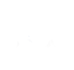 lfiykce采集到素材