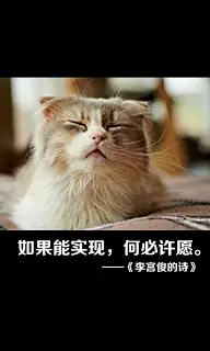 心灵——唯美图文