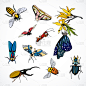 昆虫,图像,野生动物,大黄蜂,甲虫,小的,古董,蚂蚁,布置,复古
