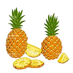 菠萝  - 源文件下载【酷图网】手绘菠萝,矢量菠萝,菠萝,凤梨,手绘的凤梨,手绘凤梨,菠萝切片,凤梨切块,芒果切开,芒果剖开,芒果漫画,热带水果,水果蔬菜素材