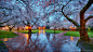 Erwin Buske在 500px 上的照片Reflections in the Rain
